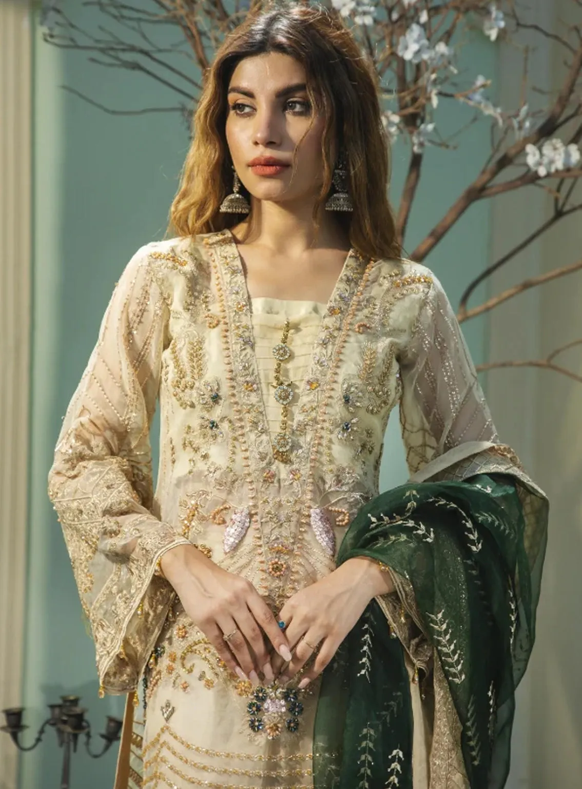 Areesha Embroidered Organza Unstitched 3 Piece Suit - ARE24EP 08 SKIN BONE